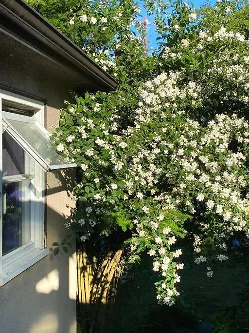 Unique Park House 5Min Walk To Subway Apartment Vancouver Canada